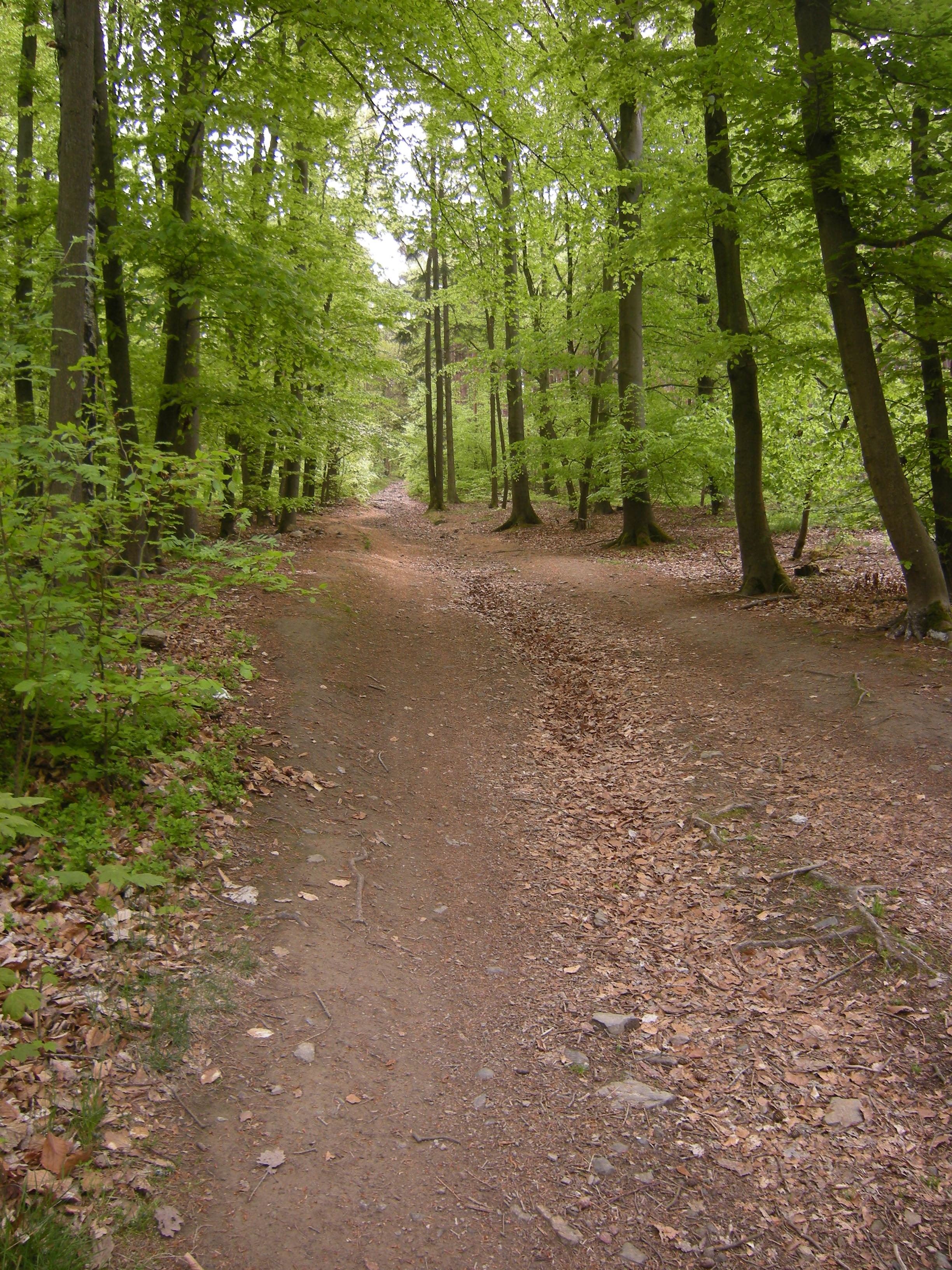 Cesta na vrchol