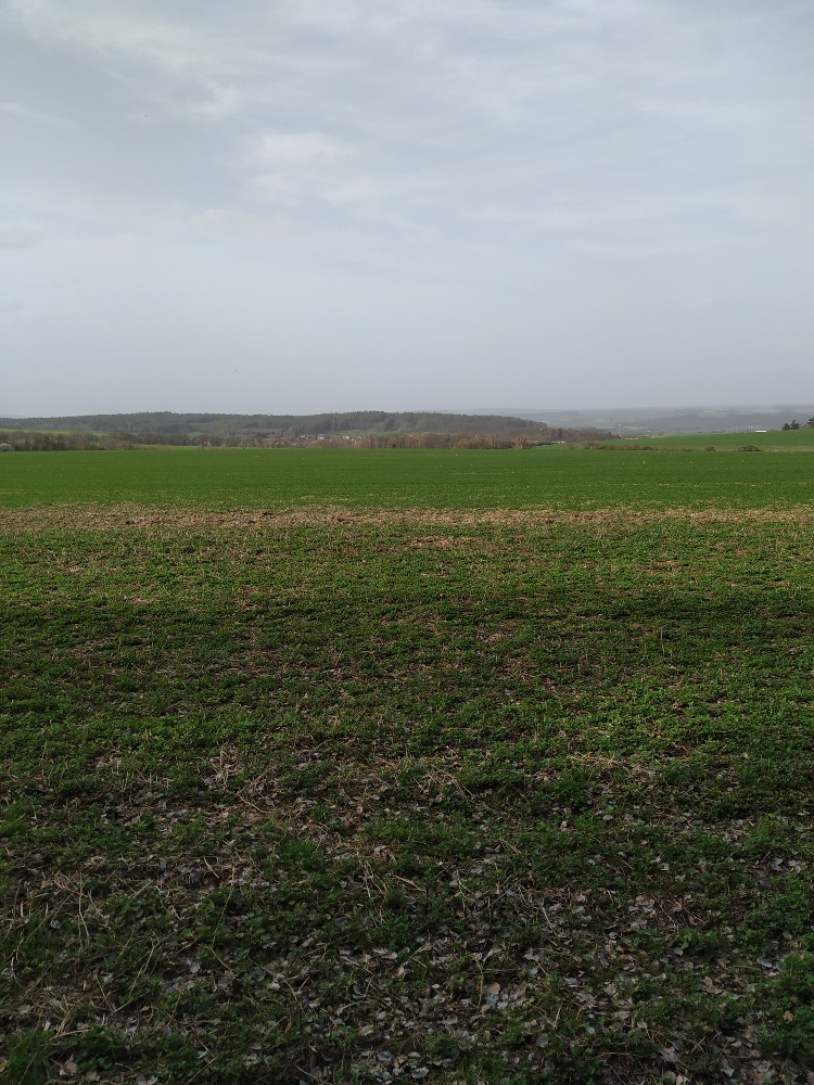 13. Panoramata