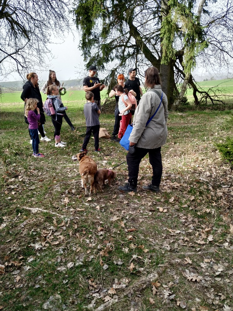 15. Na rozcestí